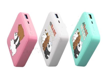 PowerBank 50000mAh